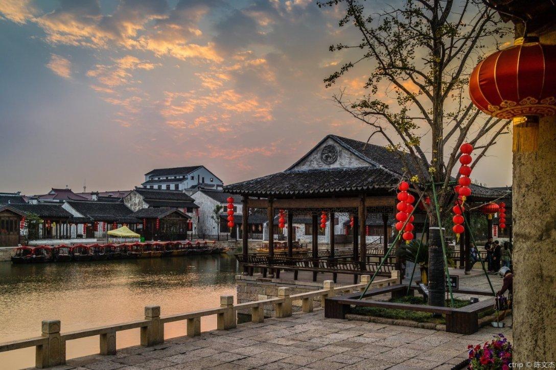 探索照夜清是哪种昆虫蚂蚁庄园的全新红迪网平台